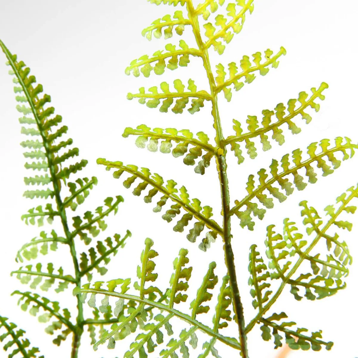 Decoración De Primavera|Plantas Verdes>DecoWoerner Recogida De Helecho Artificial Ø 30 Cm verde