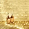 Luces De Navidad>DecoWoerner Red De Luces LED Para Uso Profesional Sistema IP20, 500 LED, 300 X 300 Cm, Sin Cable