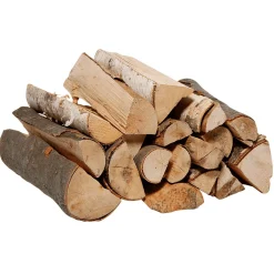 Decoración Natural|Decoración De Otoño>DecoWoerner Rodaja De Leña Decorativa Secada Beige