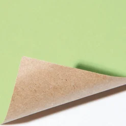 Papel De Regalo|Go Green - Envoltorio Para Regalo Ecológico>DecoWoerner Rollo De Papel, Reciclado, 50 M, Pálido verde