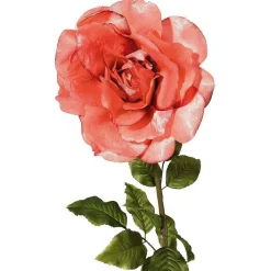 Decoración Temática|Flores Artificiales>DecoWoerner Rosa Artificial, Albaricoque 116 Cm rojo