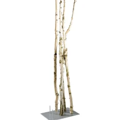 Decoración Natural|Macetas Y Artículos De Decoración><noscript><img width=
