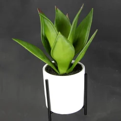 Plantas De Interior><noscript><img width=