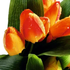 Decoración De Primavera|Ramos Y Coronas De Flores><noscript><img width=