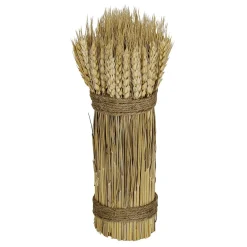 Decoración De Otoño|Hierba Decorativa>DecoWoerner Tallos De Trigo Seco 2-atado 8 X 28 Cm amarillo