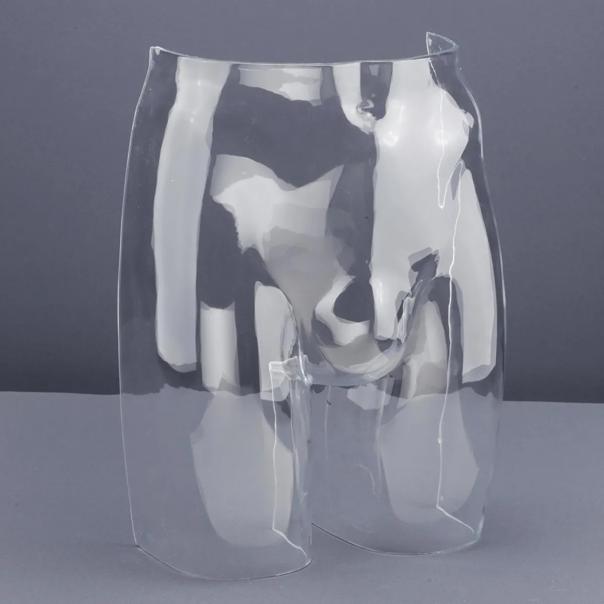 Maniquíes>DecoWoerner Torso Masculino Inferior Para Ropa Interior transparente