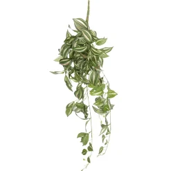 Decoración De Primavera|Plantas Verdes>DecoWoerner Tradecantia Colgante En Maceta De 65 Cm verde