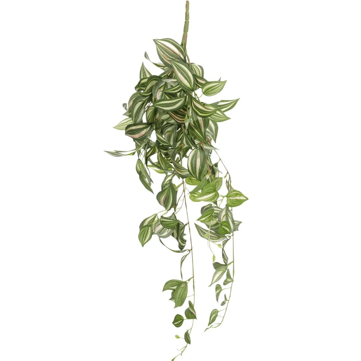 Decoración De Primavera|Plantas Verdes>DecoWoerner Tradecantia Colgante En Maceta De 65 Cm verde