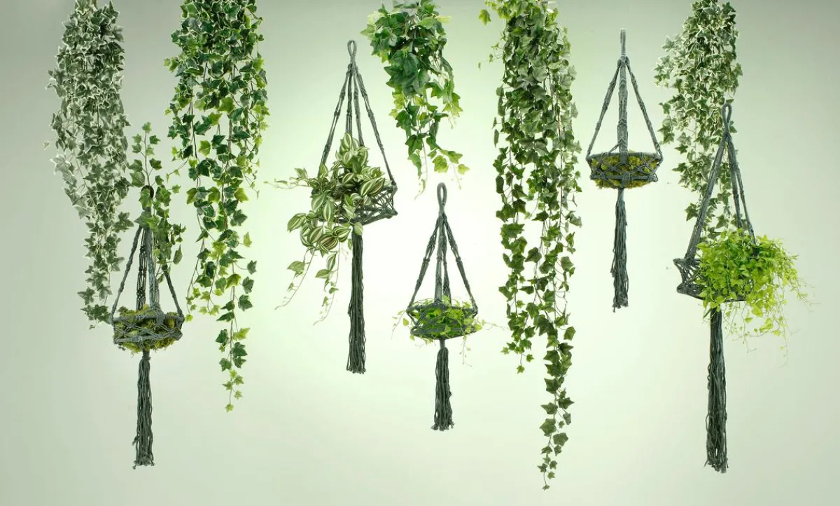 Decoración De Primavera|Plantas Verdes>DecoWoerner Tradecantia Colgante En Maceta De 65 Cm verde