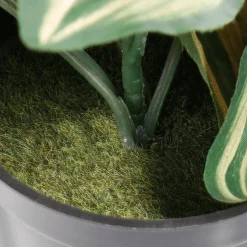 Decoración De Primavera|Plantas Verdes>DecoWoerner Tradecantia Colgante En Maceta De 30 Cm De Altura verde
