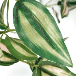 Decoración De Primavera|Plantas Verdes><noscript><img width=