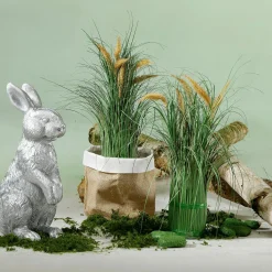 Decoración Natural><noscript><img width=