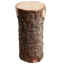 Decoración Natural|Decoración De Otoño>DecoWoerner Tronco Decorativo, Longitud 70 Cm marrón