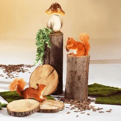 Decoración Natural|Decoración De Otoño><noscript><img width=