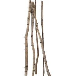 Decoración Natural|Decoración Temática>DecoWoerner Troncos De Abedul Decorativos, 170 Cm, 5 Piezas Beige