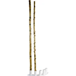 Decoración Natural|Decoración Temática>DecoWoerner Troncos De Abedul Decorativos, 170 Cm, 5 Piezas Beige