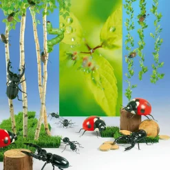 Decoración Natural|Decoración Temática><noscript><img width=