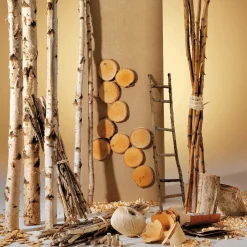 Decoración Natural|Decoración Temática><noscript><img width=