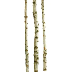 Decoración Natural|Decoración Temática>DecoWoerner Troncos De Abedul Decorativos, 200 Cm, 3 Piezas blanco