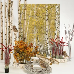 Decoración Natural|Decoración Temática><noscript><img width=