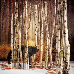 Decoración Natural|Decoración Temática><noscript><img width=