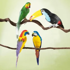 Decoración De Animales|Decoración De Verano><noscript><img width=