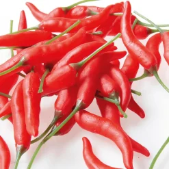 Verduras Y Hierbas><noscript><img width=
