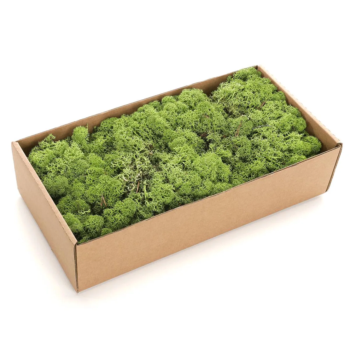 Decoración Natural|Césped Artificial>DecoWoerner Verdadero Musgo Natural 500 G verde