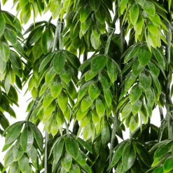 Decoración Temática|Plantas Colgantes>DecoWoerner Vid De Lúpulo Artificial 75 Cm verde