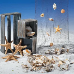 Decoración De Verano><noscript><img width=