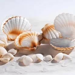 Decoración De Verano><noscript><img width=