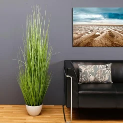 Plantas De Interior|Hierba Decorativa><noscript><img width=