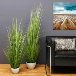 Plantas De Interior|Hierba Decorativa><noscript><img width=