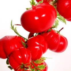 Verduras Y Hierbas><noscript><img width=
